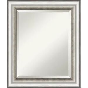 Amanti Art Salon Framed Bathroom Vanity Wall Mirror, Silver, 21X25