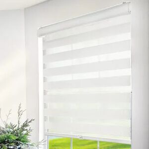 Chicology Zebra Dual Layer Shades, White, 70X72