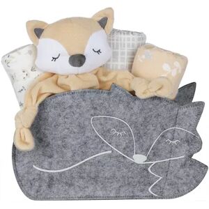 My Tiny Moments Welcome Baby Fox Shaped 5 Piece Gift Set, Multicolor