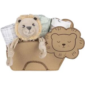 My Tiny Moments Welcome Baby Lion Shaped 5 Piece Gift Set, Multicolor