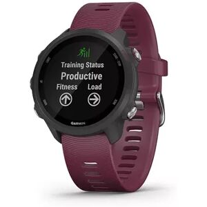 Garmin Forerunner 245 GPS Running Smartwatch, Multicolor