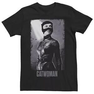 Licensed Character Men's DC Comics The Batman Distressed Catwoman Tee, Size: Small, Black