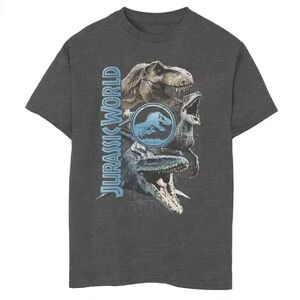 Boys 8-20 Jurassic World Two Dinosaur Logo Stack Graphic Tee, Boy's, Size: XL, Grey