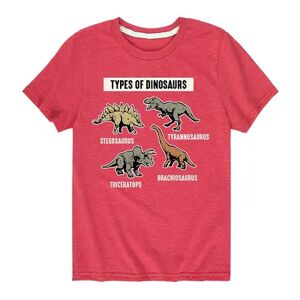 Licensed Character Boys 8-20 Types of Dinosaurs Tee, Boy's, Size: Small, Red