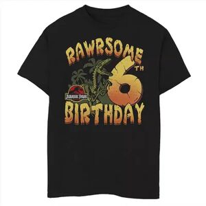 Jurassic Park Boys 8-20 Jurassic Park Rawrsome 6th Birthday Graphic Tee, Boy's, Size: XL, Black