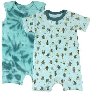 Baby HONEST BABY CLOTHING 2-pack Organic Rompers, Infant Girl's, Size: Newborn, Blue
