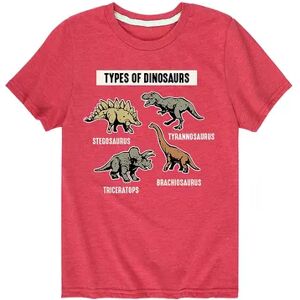 Licensed Character Boys 8-20 Types of Dinosaurs Tee, Boy's, Size: Large, Red