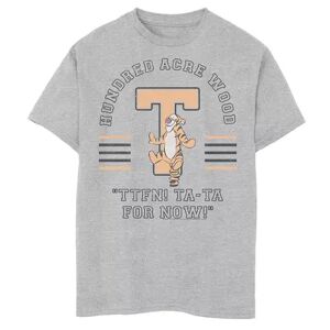 Disney s Winnie the Pooh Boys 8-20 Tigger Ta-Ta For Now Graphic Tee, Boy's, Size: Large, Grey
