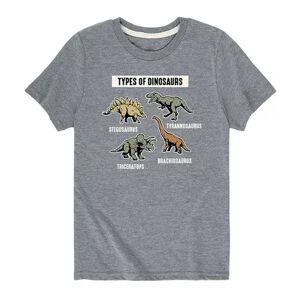 Licensed Character Boys 8-20 Types of Dinosaurs Tee, Boy's, Size: Large, Grey