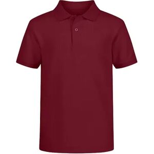 Boys 4-20 IZOD Double Pique Stretch Polo in Regular & Husky, Boy's, Size: XS (6-7), Dark Red