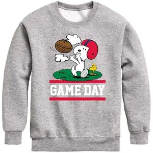 Licensed Character Boys 8-20 Peanuts Football Game Day Graphic Sweatshirt, Boy's, Size: Large, Med Grey