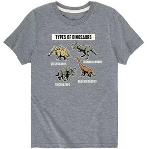 Licensed Character Boys 8-20 Types of Dinosaurs Tee, Boy's, Size: XL, Grey