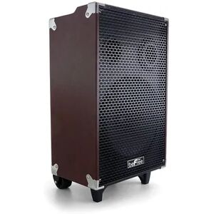 beFree Sound 10-Inch 500 Watt Bluetooth Portable Speaker with USB, SD, Microphone, FM Radio, Brown