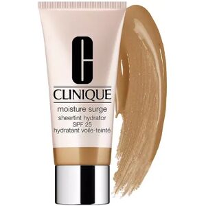 Clinique Moisture Surge Sheertint Hydrator Broad Spectrum SPF 25 Tinted Moisturizer, Size: 1.4 FL Oz, Multicolor