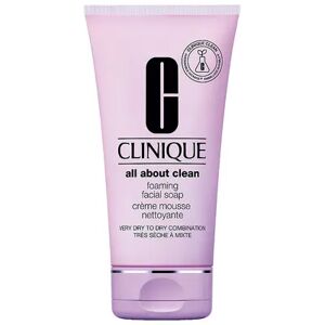 Clinique Rinse-Off Foaming Cleanser, Size: 5 Oz, Multicolor