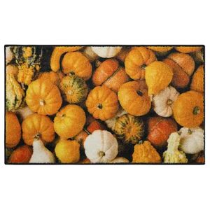 Mohawk Home Multi-Color Gourds Rug, Multicolor, 18X30