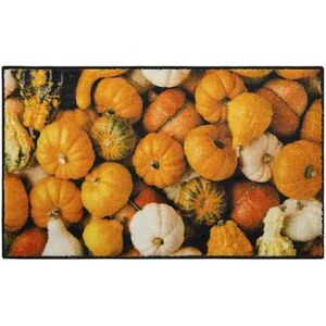 Mohawk Home Multi-Color Gourds Rug, Multicolor, 24X40