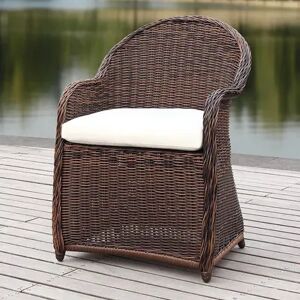 Safavieh Indoor / Outdoor Wicker Arm Chair, Brown