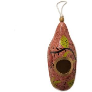 NOVICA Blossoms on Blush,'Hand Painted Gourd Birdhouse from Peru'