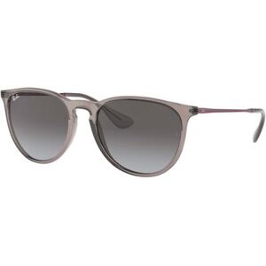 Ray-Ban Erika RB4171 Sunglasses Transparent Grey 54 RB4171-65138G-54