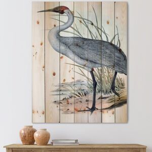 DESIGN ART Designart 'Vintage Australian Birds V' Traditional Print on Natural Pine Wood 30 in. wide x 40 in. high