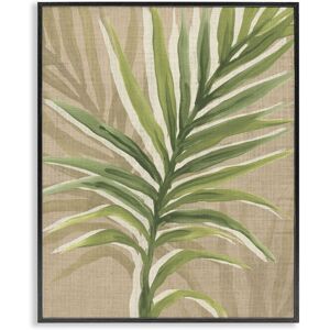 Stupell Rustic Palm Plant Framed Giclee Art Design By June Erica Vess 11 x 14