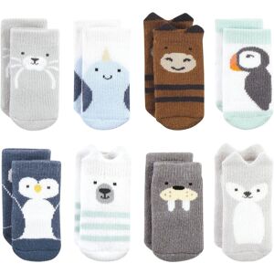 Hudson Baby Infant Boy Cotton Rich Newborn and Terry Socks, Arctic Animals 6-12 Months