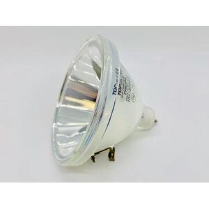 Philips Envisiontech Perfactory P3 Series 3D Printer Replacement Lamp - 180 Day Warranty