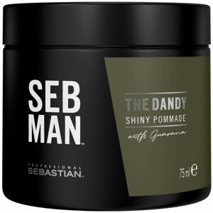 Sebastian Seb Man the Dandy Light Hold Pomade 75mL