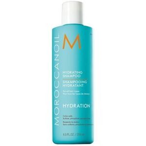 Moroccanoil Hydrating Shampoo Argan Oil 250mL