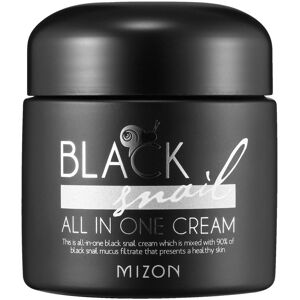 Mizon Black Snail All in One Cream 75mL