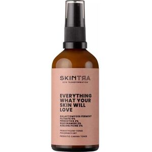 SkinTra Everything What Your Skin Will Love Prebiotic Caring Toner 100mL