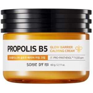 Some by Mi Propolis B5 Glow Barrier Calming Cream Deep Hydration 60g