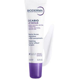 Bioderma Cicabio Lip Repair 10 ml (3.38 fl oz)