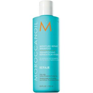 MOROCCANOIL Moisture Repair Shampoo - 250ml
