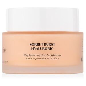 Flânerie Replenishing Duo Moisturiser 45ml