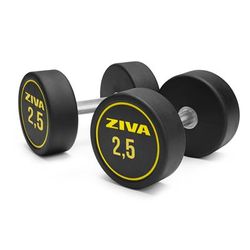 Mancuerna ZIVA Performance Redonda Negro y Amarillo 2.5 kg