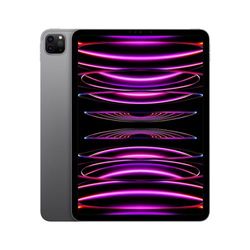 Apple iPad Pro 2022 11'' M2 256 GB Wi-Fi Gris espacial