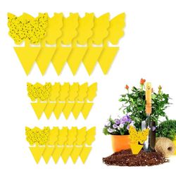 20 -pakk flycatchers - Fly Trap - Butterfly