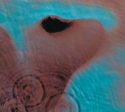Pink Floyd - Meddle (CD)