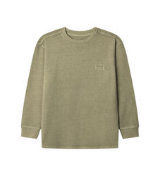 Pepe Jeanstil drenge. PB5000028 Telmo grøn T-shirt (4años= 80cm), Casual, Bomuld, Lange ærmer, børnetøj