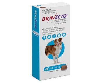 Bravecto Chewable Flea Tablet For Large Dogs 20-40kg 1pk