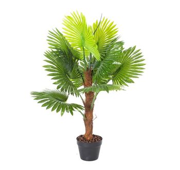 Grønn plante FAN PALM H100cm