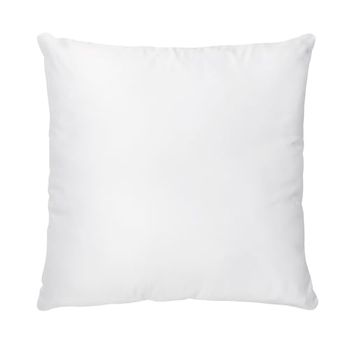 HOMLA Kudde Toby – kudde inlägg för dekorativa kuddar, sovkuddar, dekorativa kuddar – kudde fyrkantig kudde 45 x 45 cm – soffkudde för uteplats trädgård bondgård dekor – tillverkad av polyesterfibrer