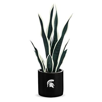 FOREVER LEAF MSU, pianta di serpente MSU, pianta di serpente finto, regali per uomini, regali MSU per donne, regali MSU, decorazioni spartane, decorazione per grotta dell'uomo, accessori da ufficio