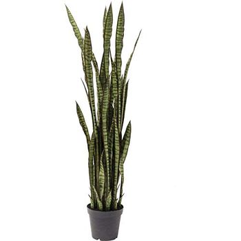 Kare Ontwerp Plant Sanseuera Nep Planten Decoratie, 155 cm