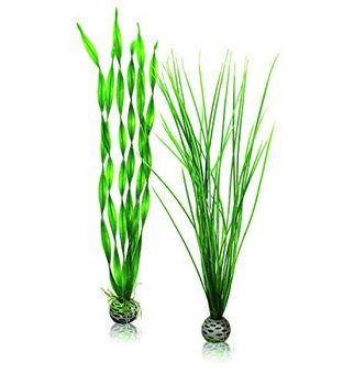 biOrb Plant Set L green