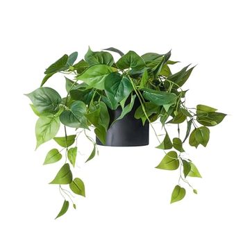 FOREVER LEAF Pianta artificiale Pothos piccola, vaso nero, stile minimalista, 1 pezzo, resistente alle intemperie, ideale per decorazione domestica, ufficio, soggiorno, camera degli ospiti, bagno,