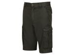 Regatta Herenhorebay vintage cargo shorts