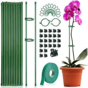 Aucun Piquets de Support pour plantes, adaptés aux plantes d'intérieur et d'extérieur, bâton de plante verte, Support pour plantes en pot, légumes floraux